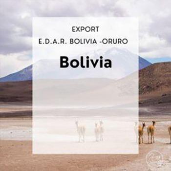 Export Bolivia