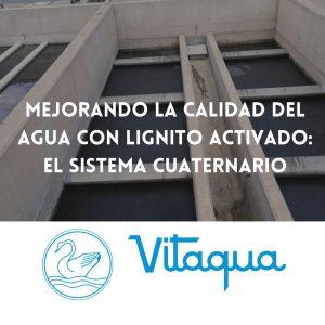 Mejorando la Calidad del Agua con Lignito Activado: El Sistema Cuaternario