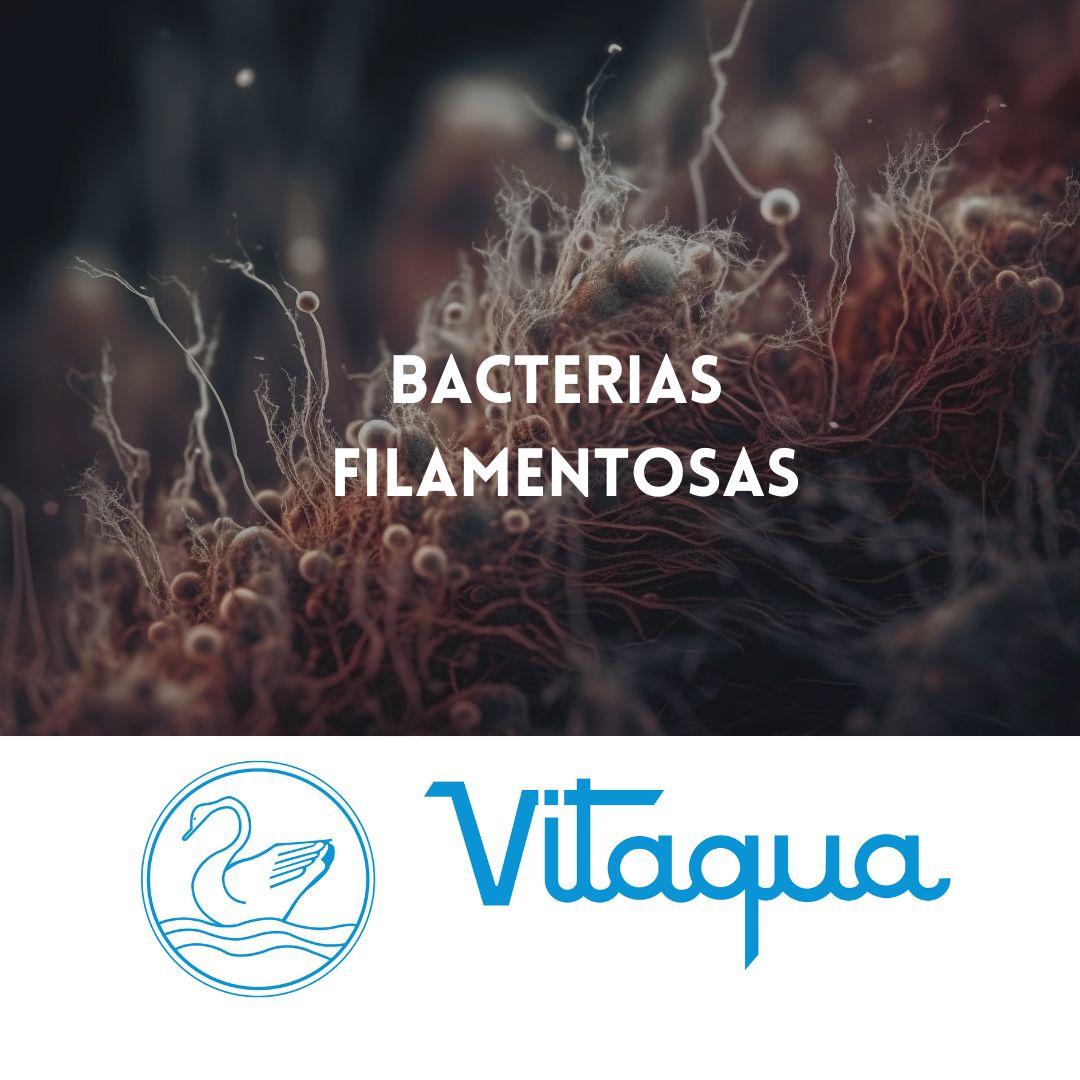 Bacterias Filamentosas: Qué Son y Cómo Afectan a las Plantas de Tratamiento de Agua