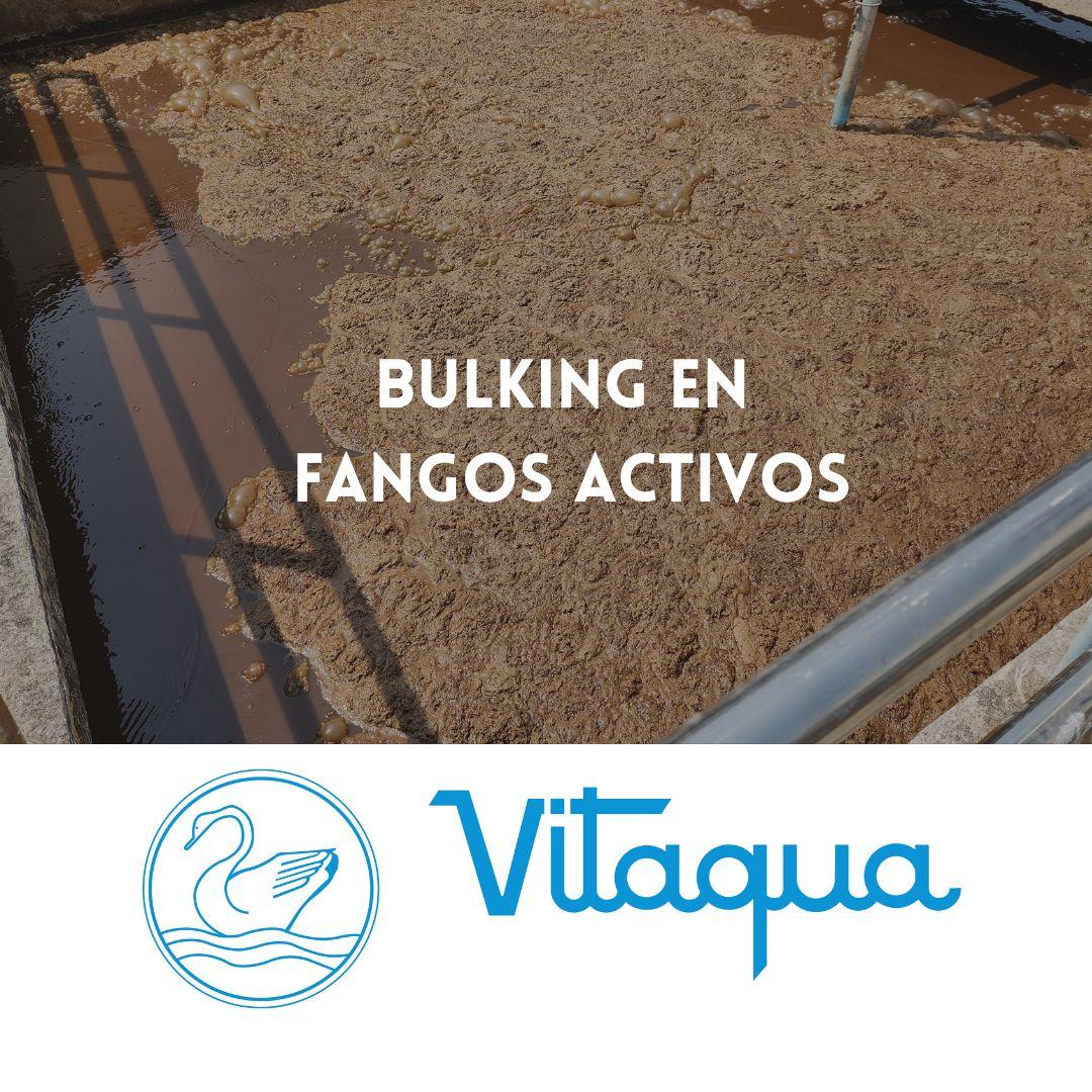 bulking en fangos activos