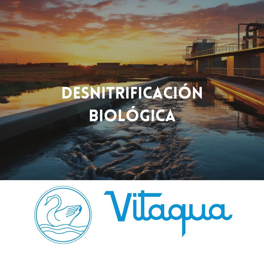 Desnitrificación Biológica: Control de Nutrientes en Efluentes Industriales