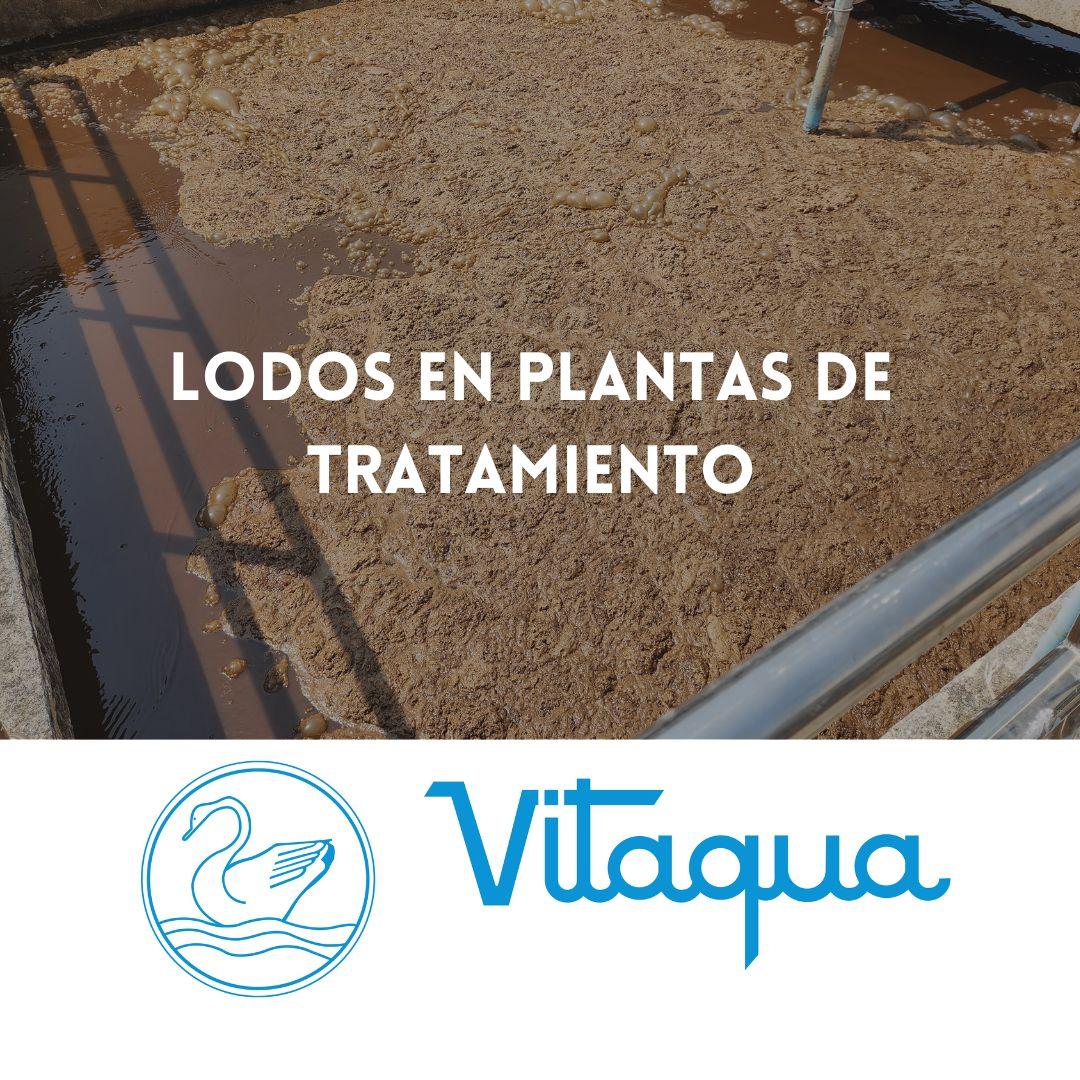 Lodos en plantas de tratamiento: Características y Métodos de Gestión