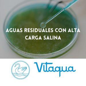 Aguas residuales con alta carga salina: tecnologías de desalación y recuperación