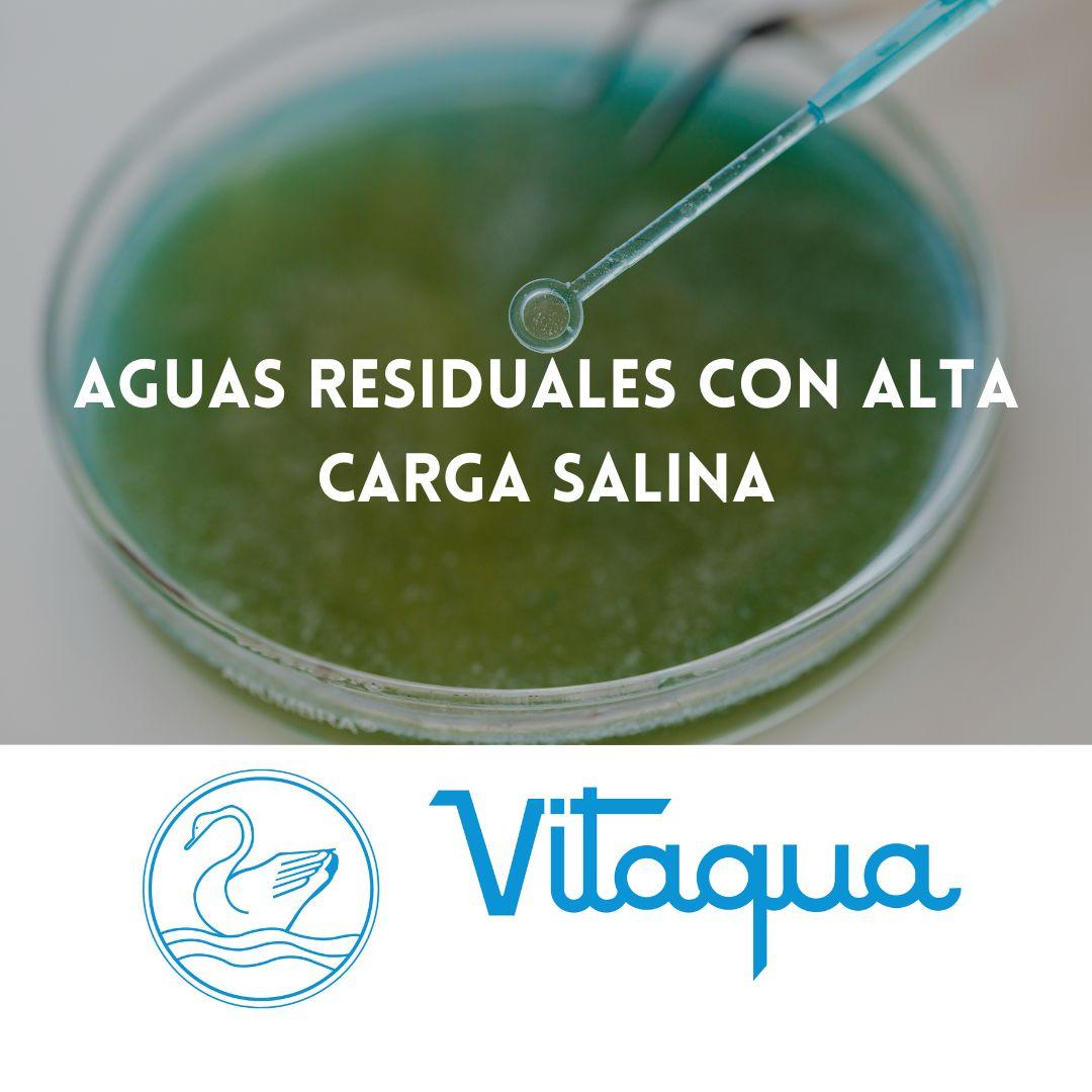 Aguas residuales con alta carga salina: tecnologías de desalación y recuperación